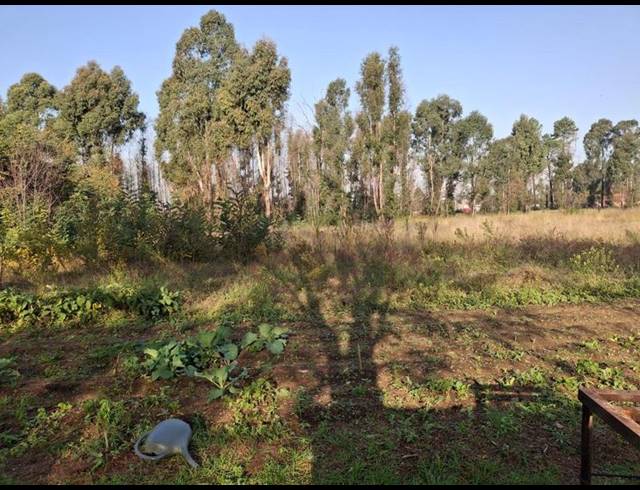 FARM FOR SALE IN NAAUWPOORT